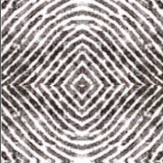 fingerprint cutouts